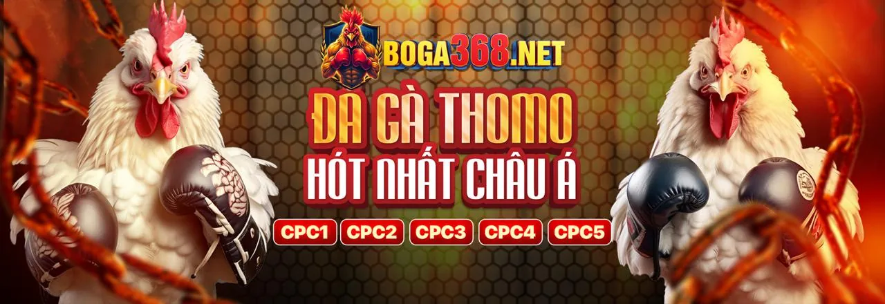 Sân vận động lớn với không khí sôi động, biểu tượng chiến thắng của vf55