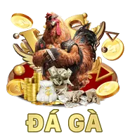 Hỗ trợ khách hàng vf55